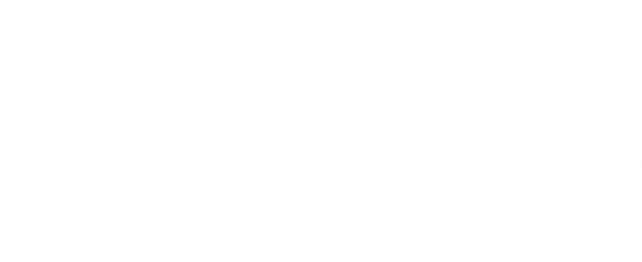 Indarte
